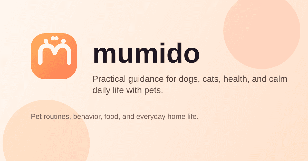 Beginner routine basics